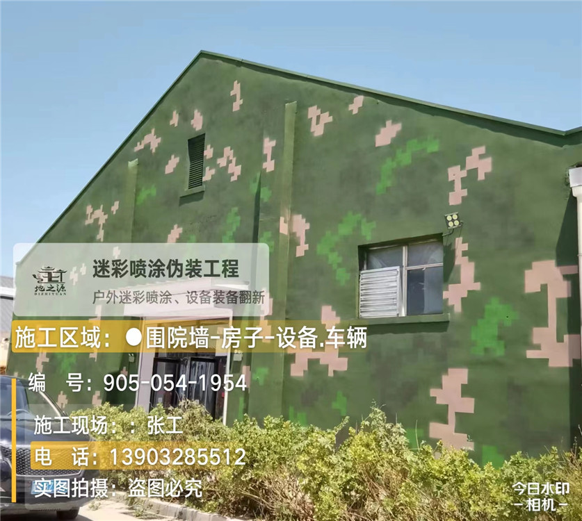 天水外墙数码迷彩漆施工报价清单（100㎡标准墙面测算）